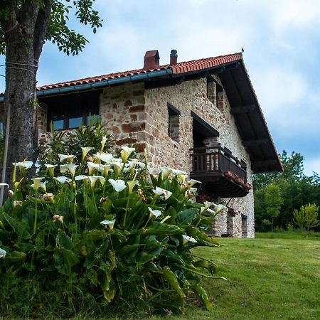 Apartamentos Rurales Larrago Busturia Екстер'єр фото